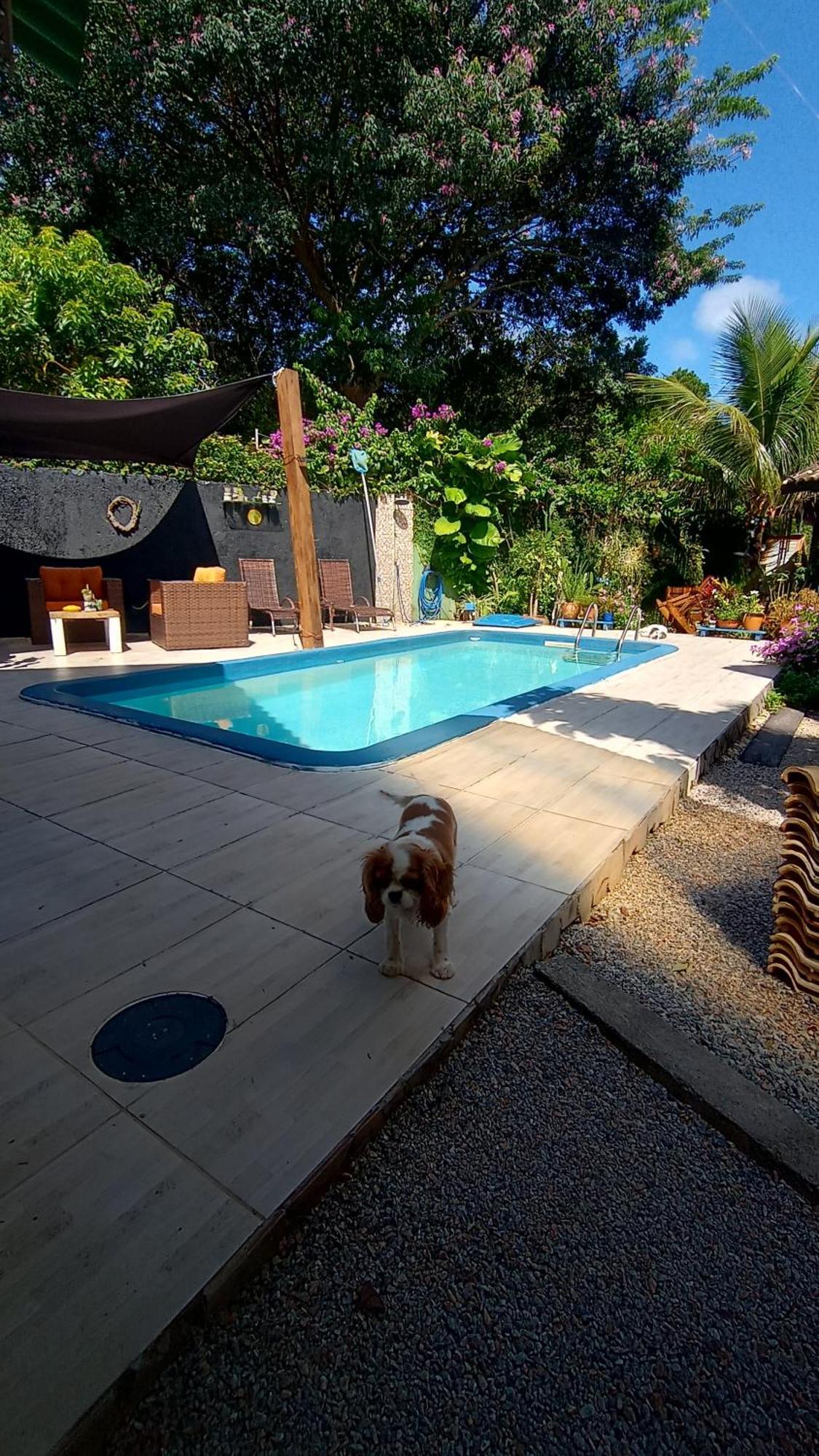 Pousada Zaua Guest House Florianopolis Bagian luar foto